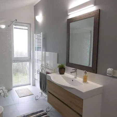 Diana Grande Comfortable Holiday home Novigrad (Istria)